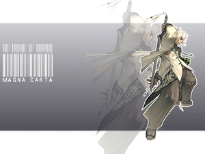 Magna Carta, form, sword, fighter, a man