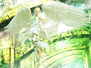 Tekken Tag Tournament 2, angel
