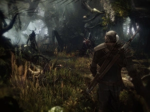 The Witcher 3