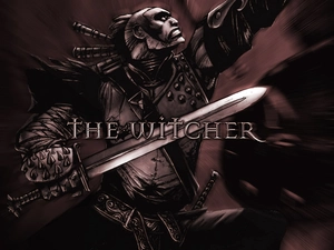 a man, fighter, the witcher, sword
