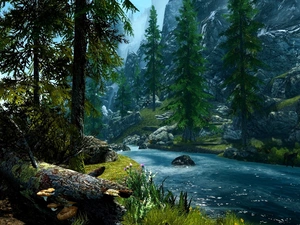 Trees Game, The Elder Scrolls V Skyrim, Stones, brook, rocks