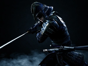 The Elder Scrolls V : Skyrim, Akaviri Warrior