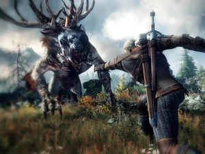 The Witcher 3, Wild Hunt