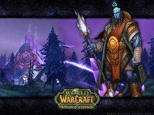 World Of Warcraft The Burning Crusade, fighter, fantasy, form